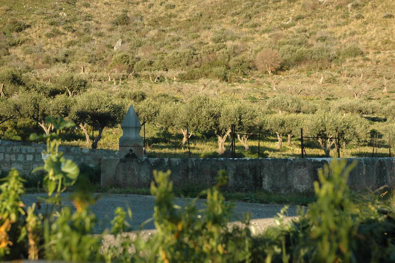 Il Vecchio Frantoio Villa Scillato  Exterior foto